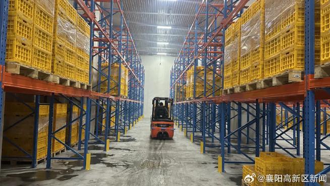 冷链服务投资建设的襄阳高新区冷链产业集成中心正式投入运营